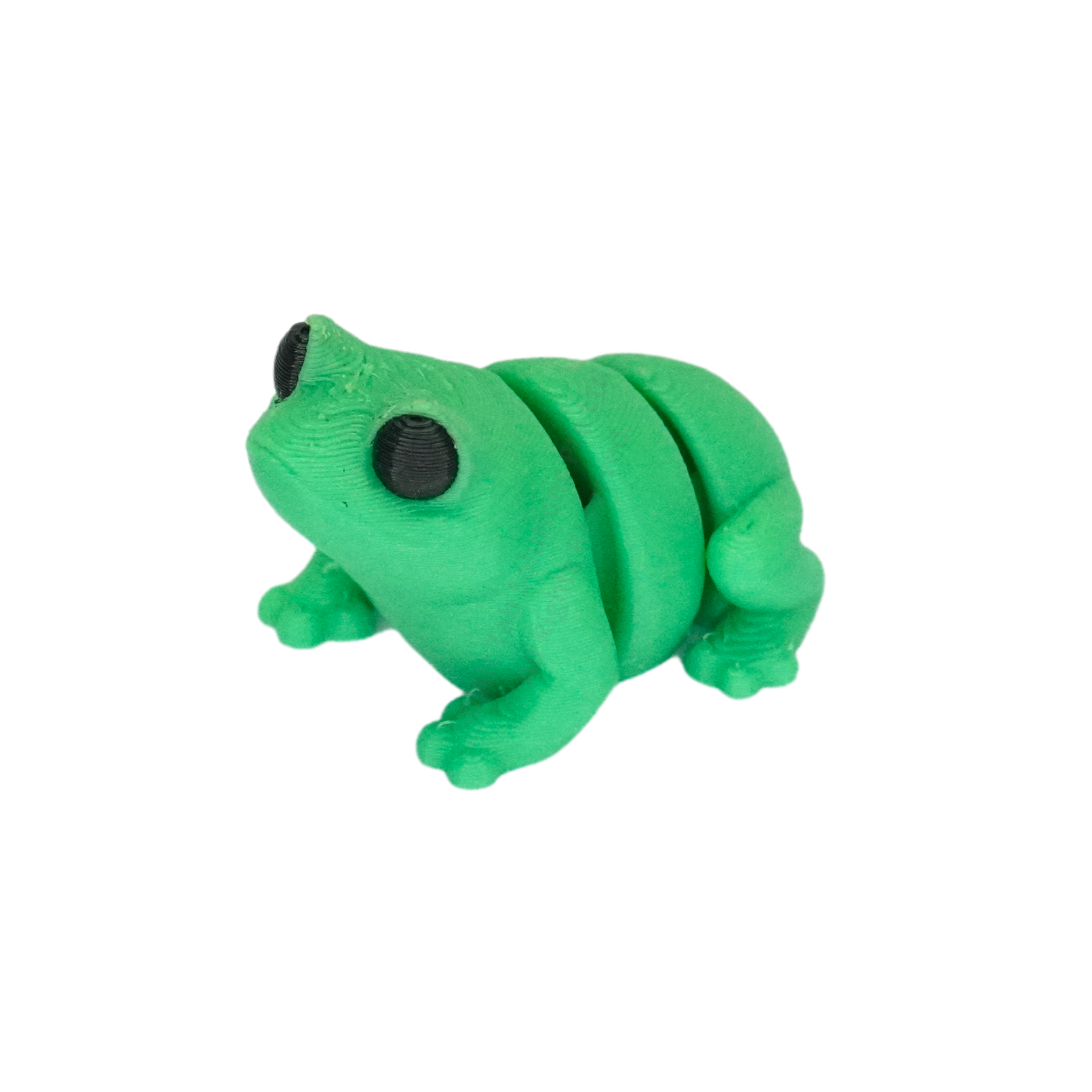 Tiny Frog Fidget Keychain
