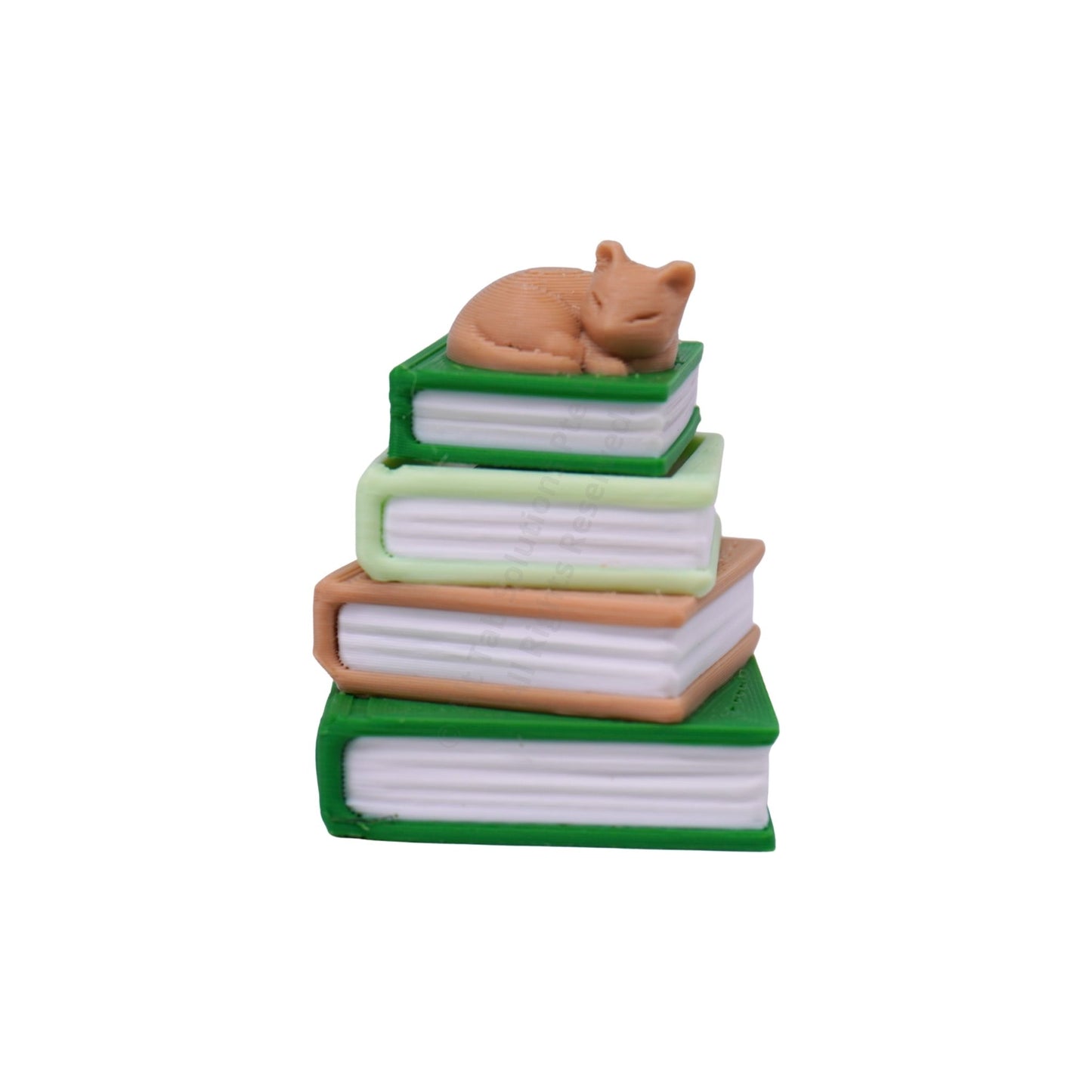 Sleepy Cat Books Clicker Keychain