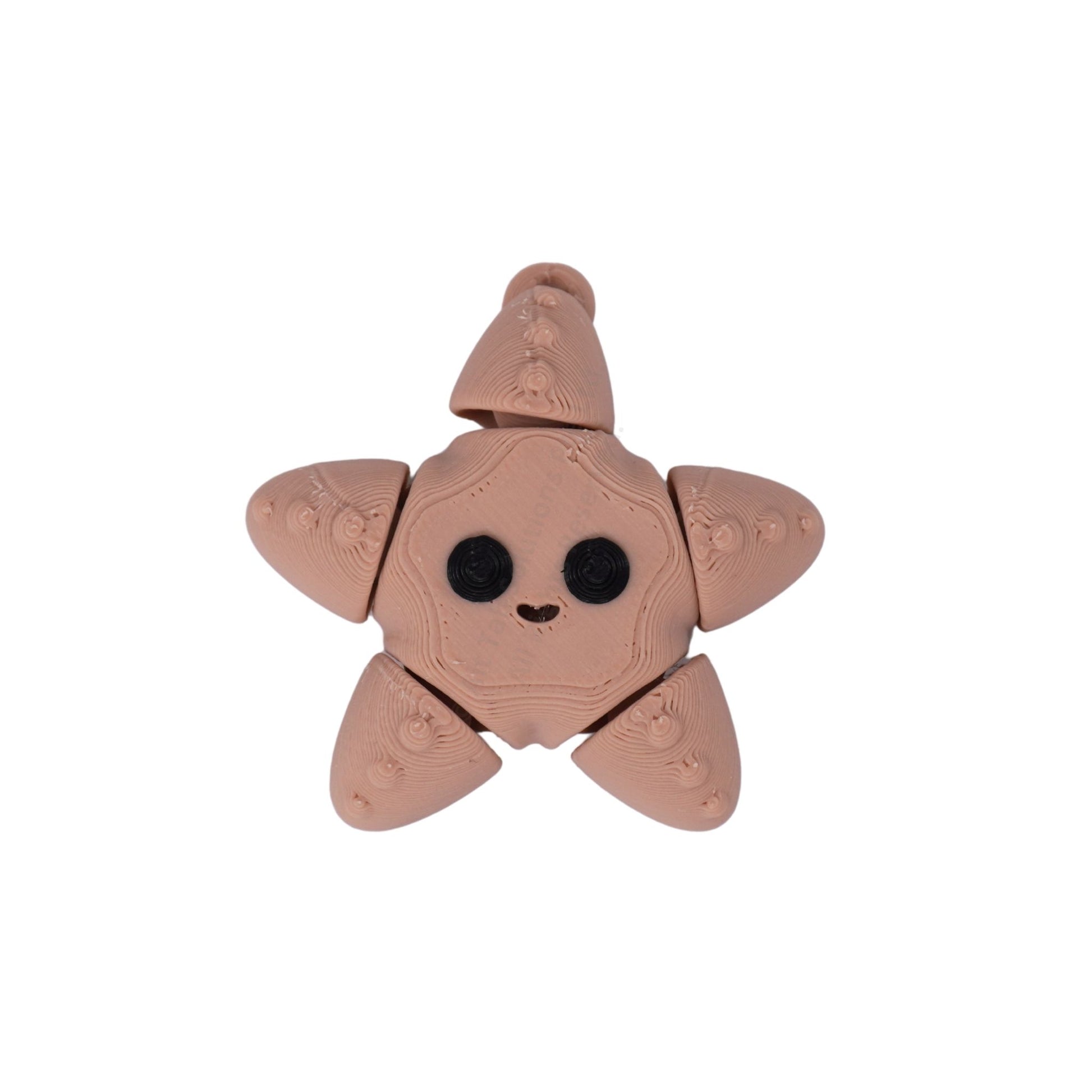 Starfish Fidget Keychain